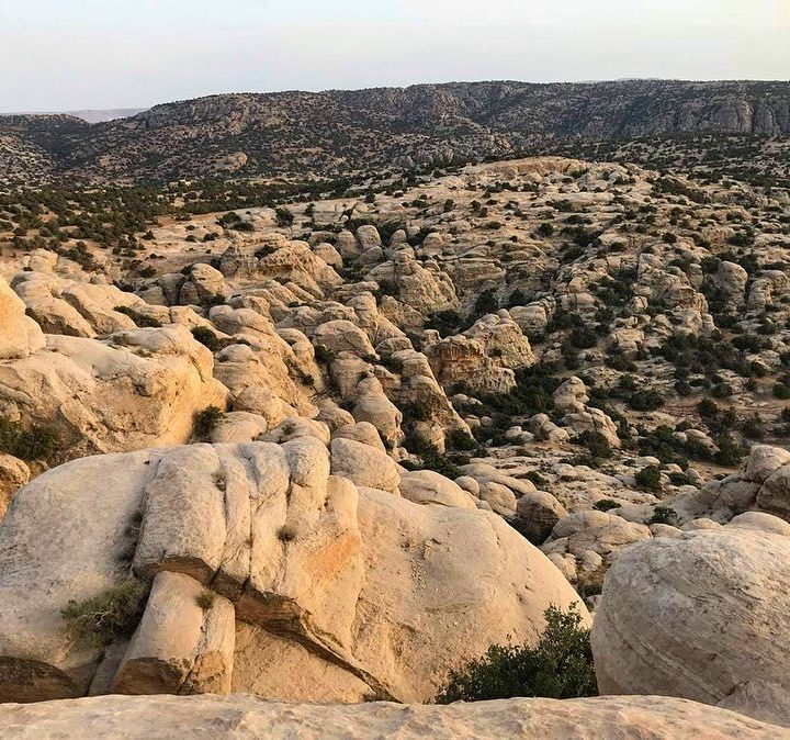 Dana Biosphere Reserve